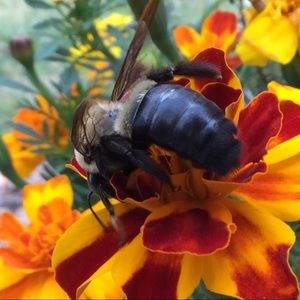 Meet your Posher, Chloe